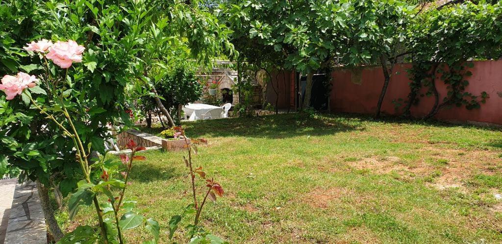 Apartments Roses Dobrinj Εξωτερικό φωτογραφία